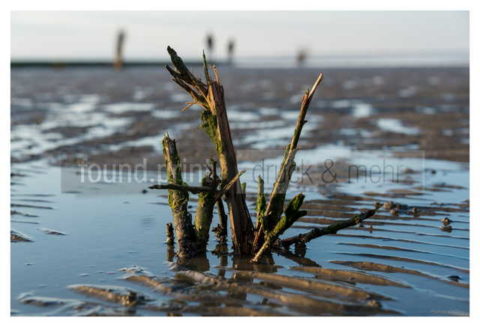 Microfaser Handtuch Bedrucken Ebbe Meer Strand Holz